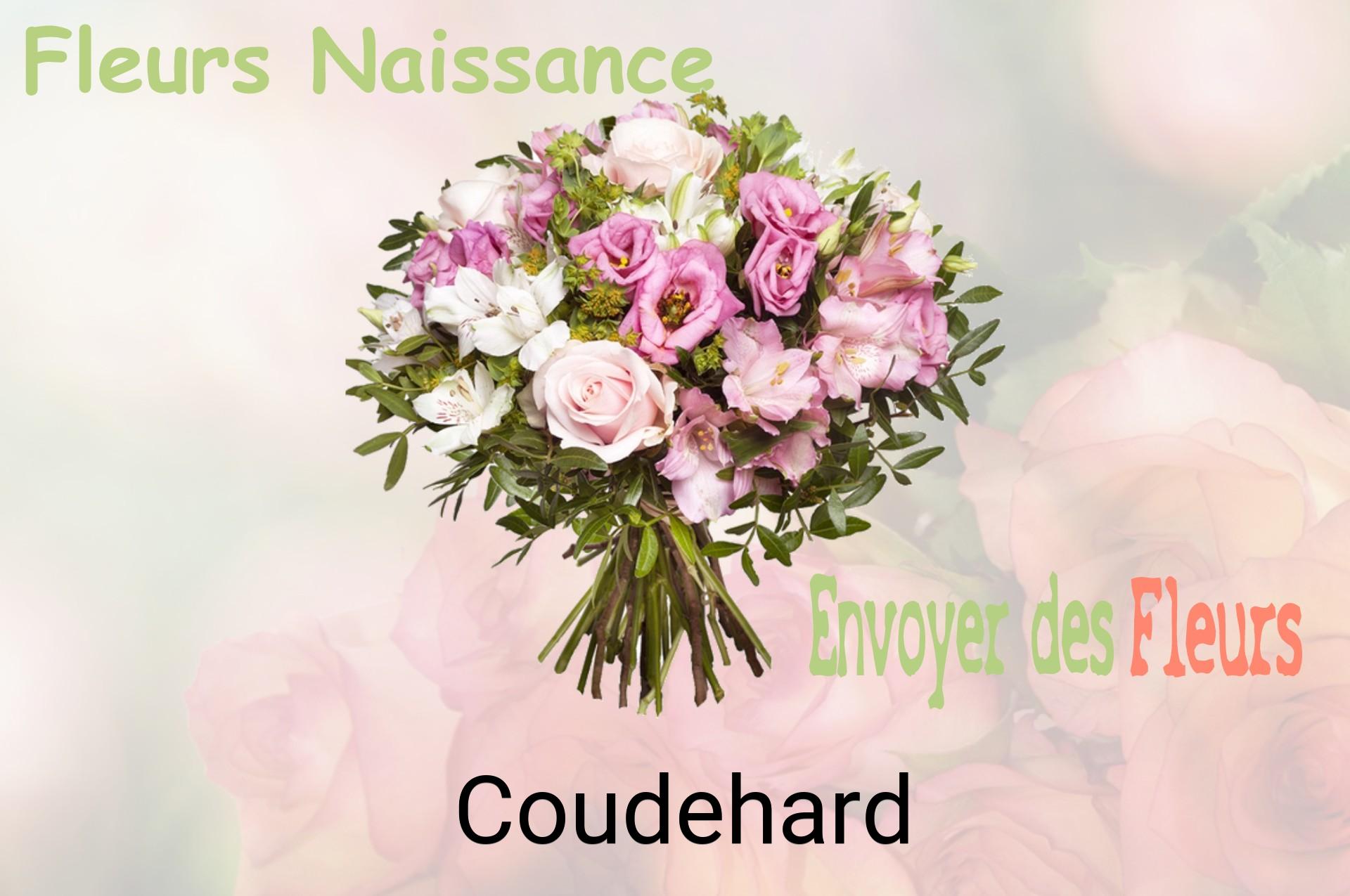 Bouquet de fleurs de naissance livré à Coudehard