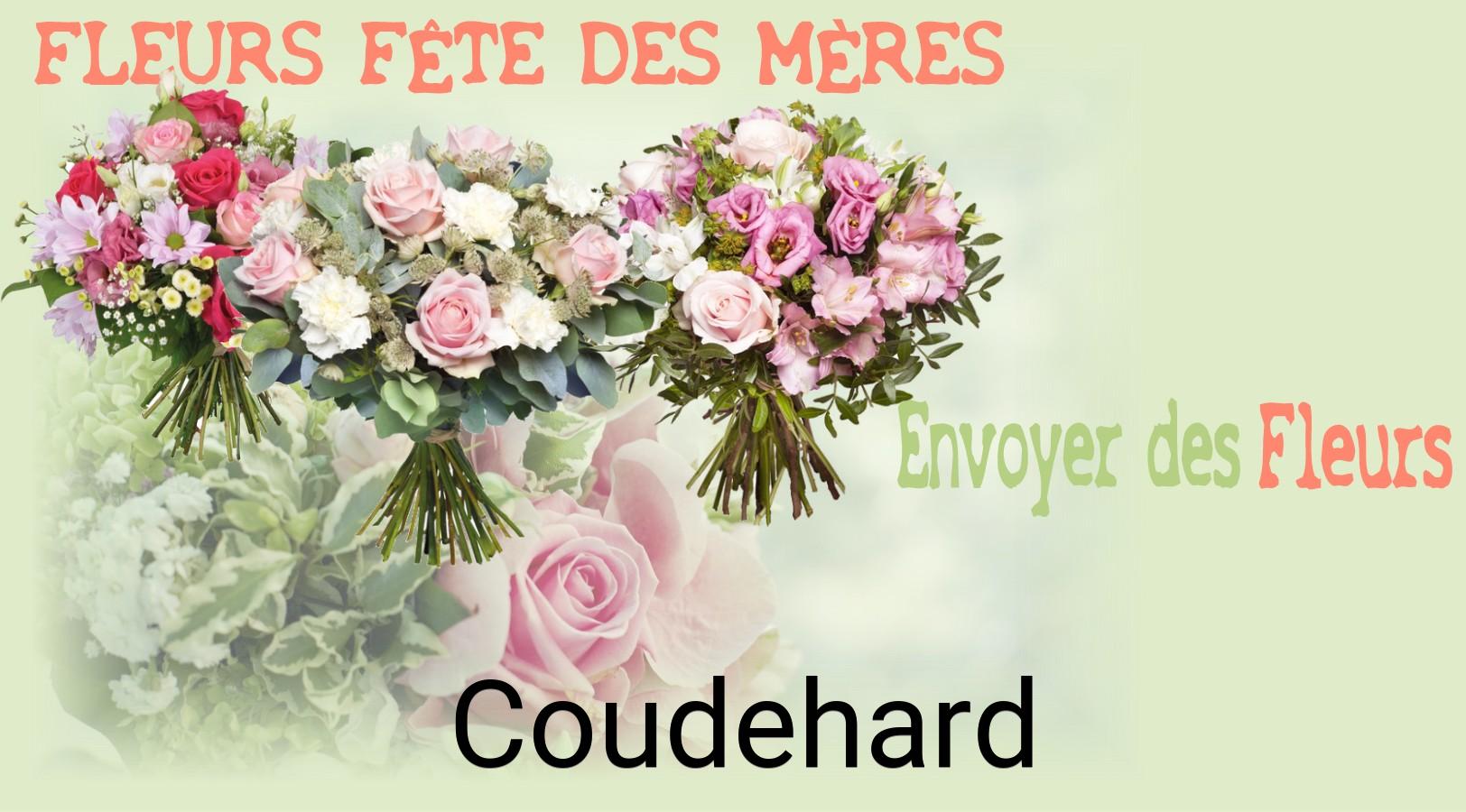 Bouquet de Fête des Mères livré à Coudehard